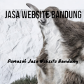 Jasa Website Bandung