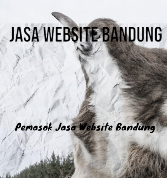 Jasa Website Bandung